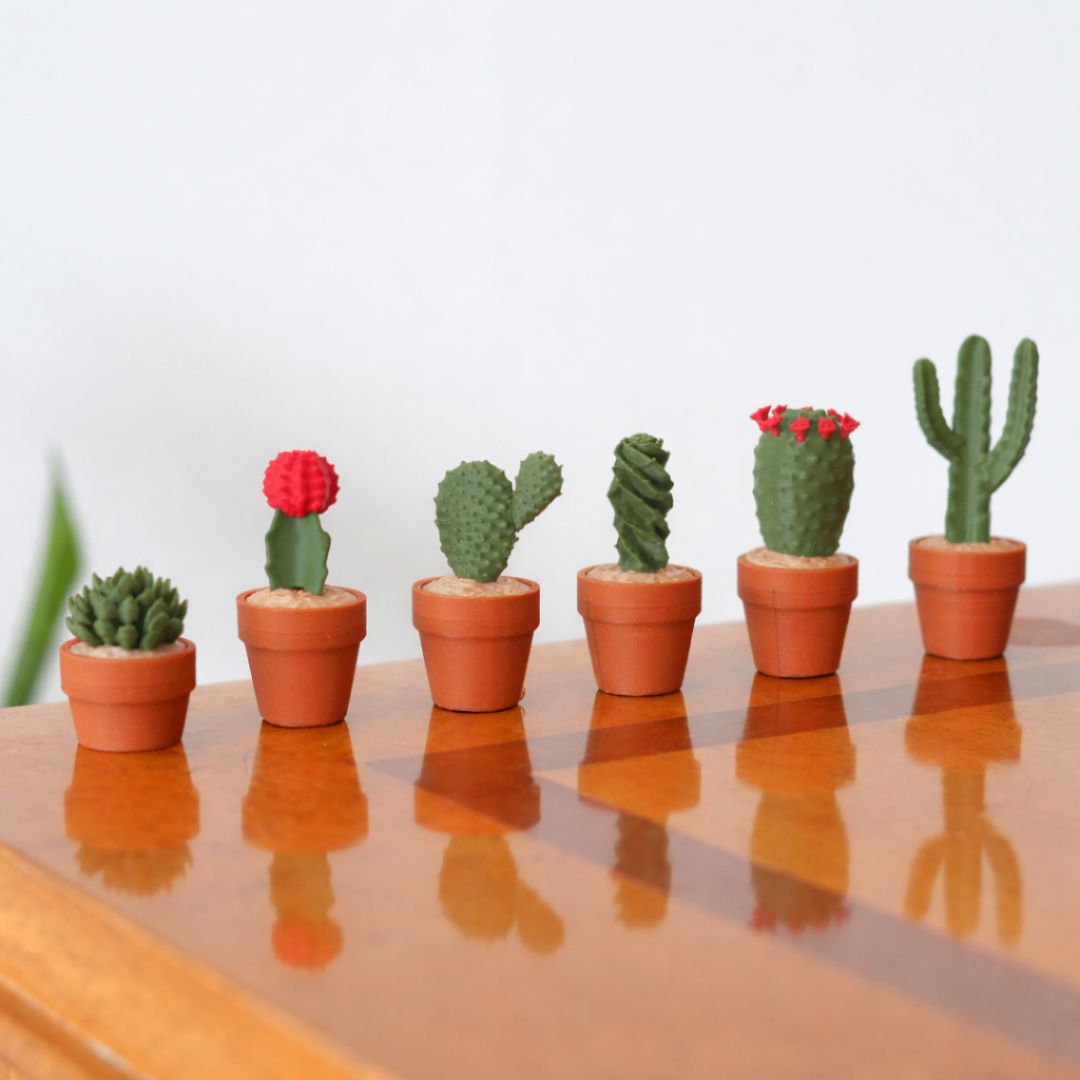 Kaktüs Satranç Takımı