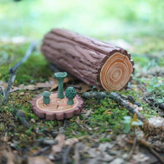 Orman Satranç Takımı